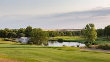 Vista desde la habitación