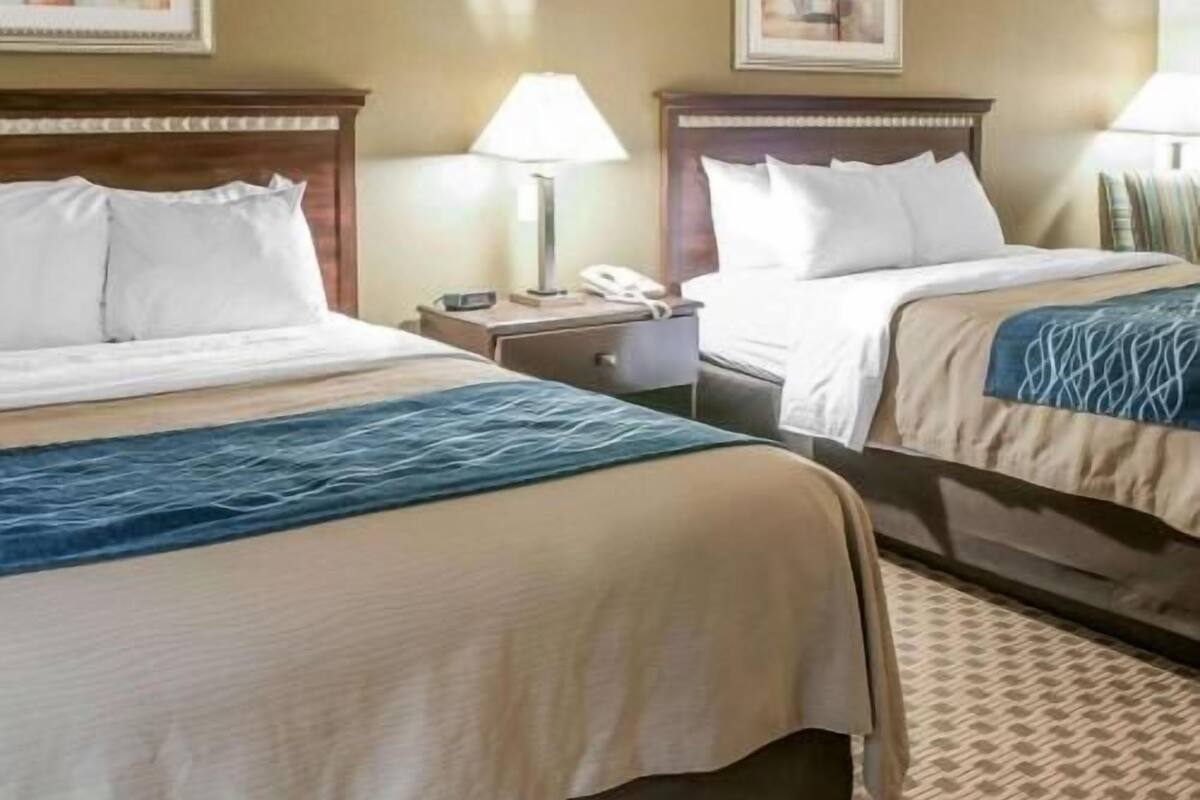 A hotel room with two beds, a nightstand, a lamp, and a patterned rug.