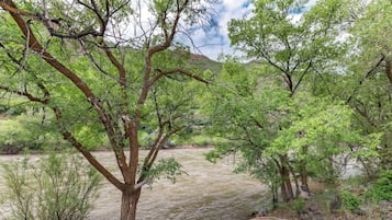 Un fiume con alberi e una scalinata in pietra che scende verso l'acqua.