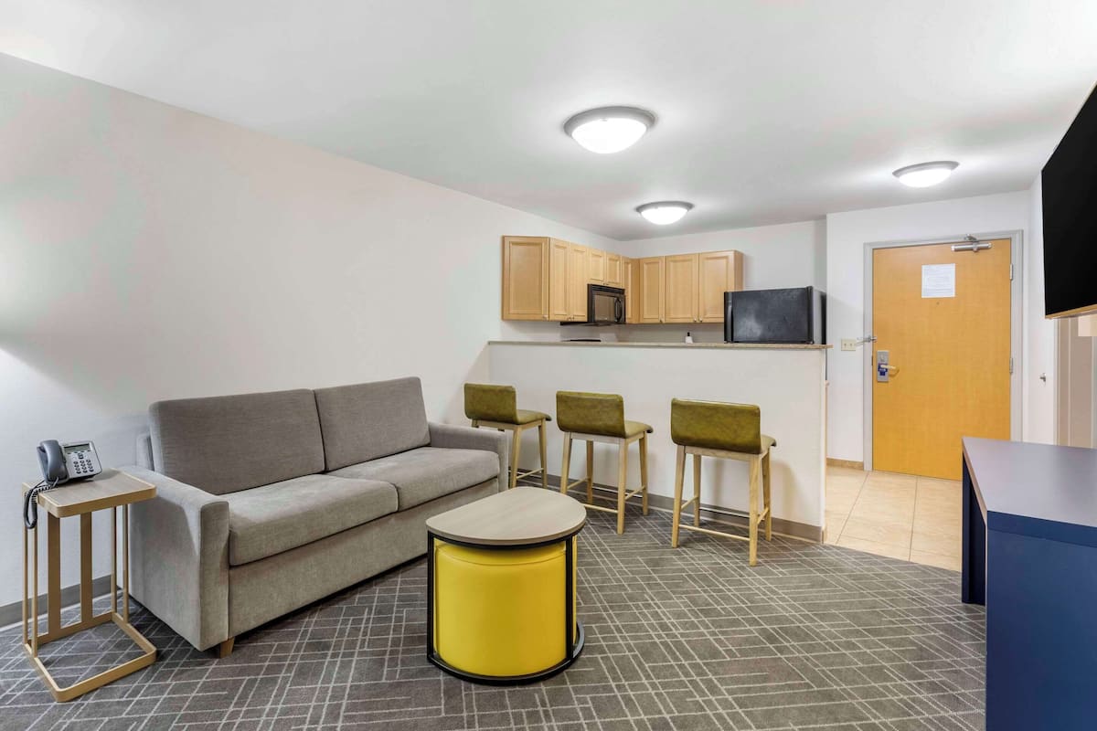 suite, multiple beds, non smoking (efficiency, upgrade) | 1 bedroom, premium bedding, desk, laptop workspace