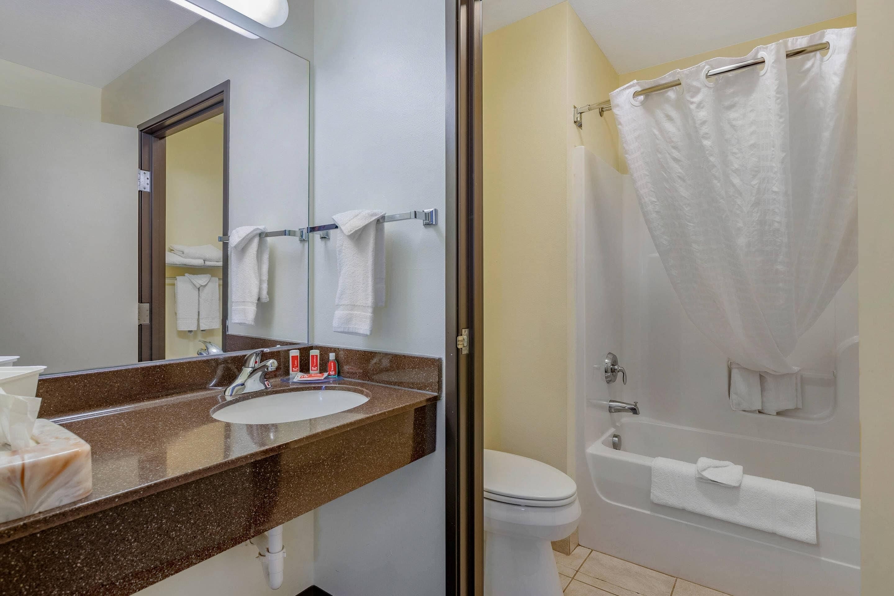A bathroom with a sink, mirror, toilet, and shower area.