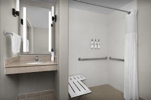 Room, Accessible | Bathroom shower