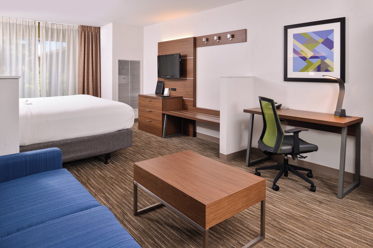 Suite, 1 King Bed with Sofa bed (Living Area) | Desk, laptop workspace, blackout drapes, iron/ironing board