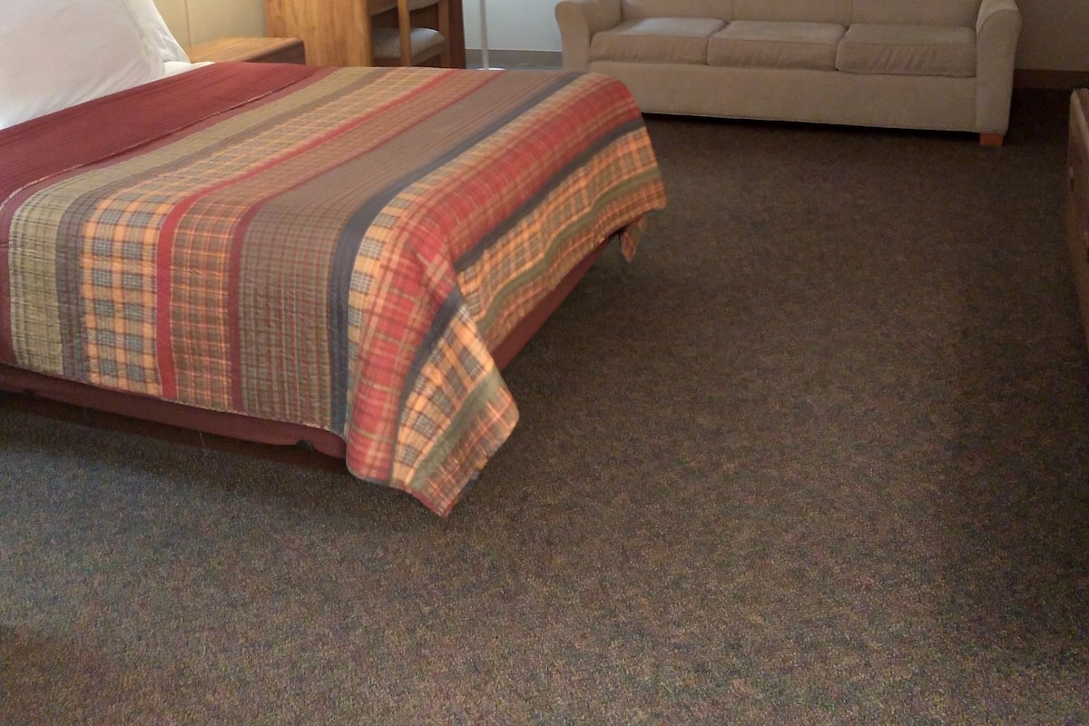 A hotel room with a bed, a sofa, two lamps, a window with curtains, and a carpeted floor.