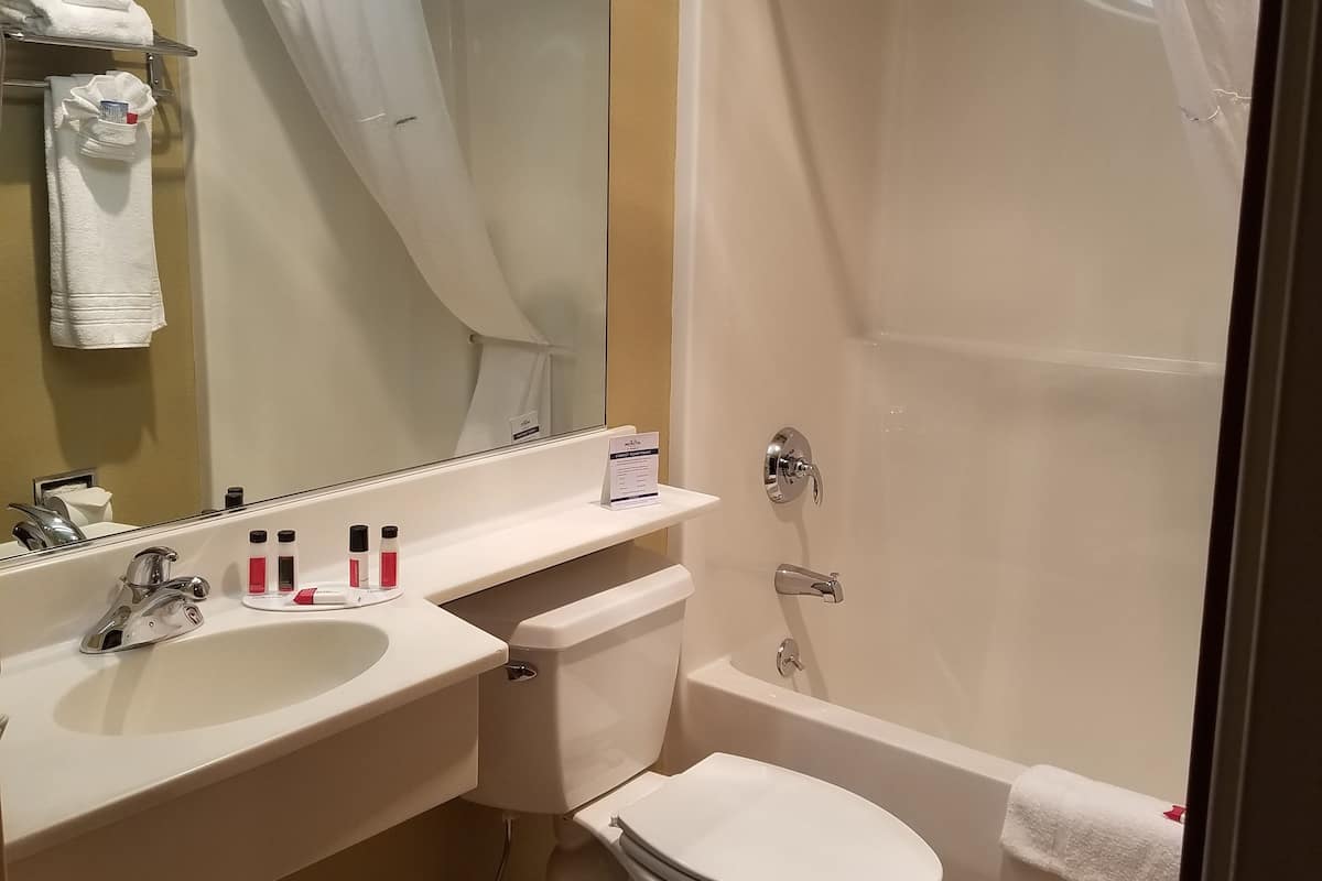 combined shower/bathtub, free toiletries, hair dryer, towels