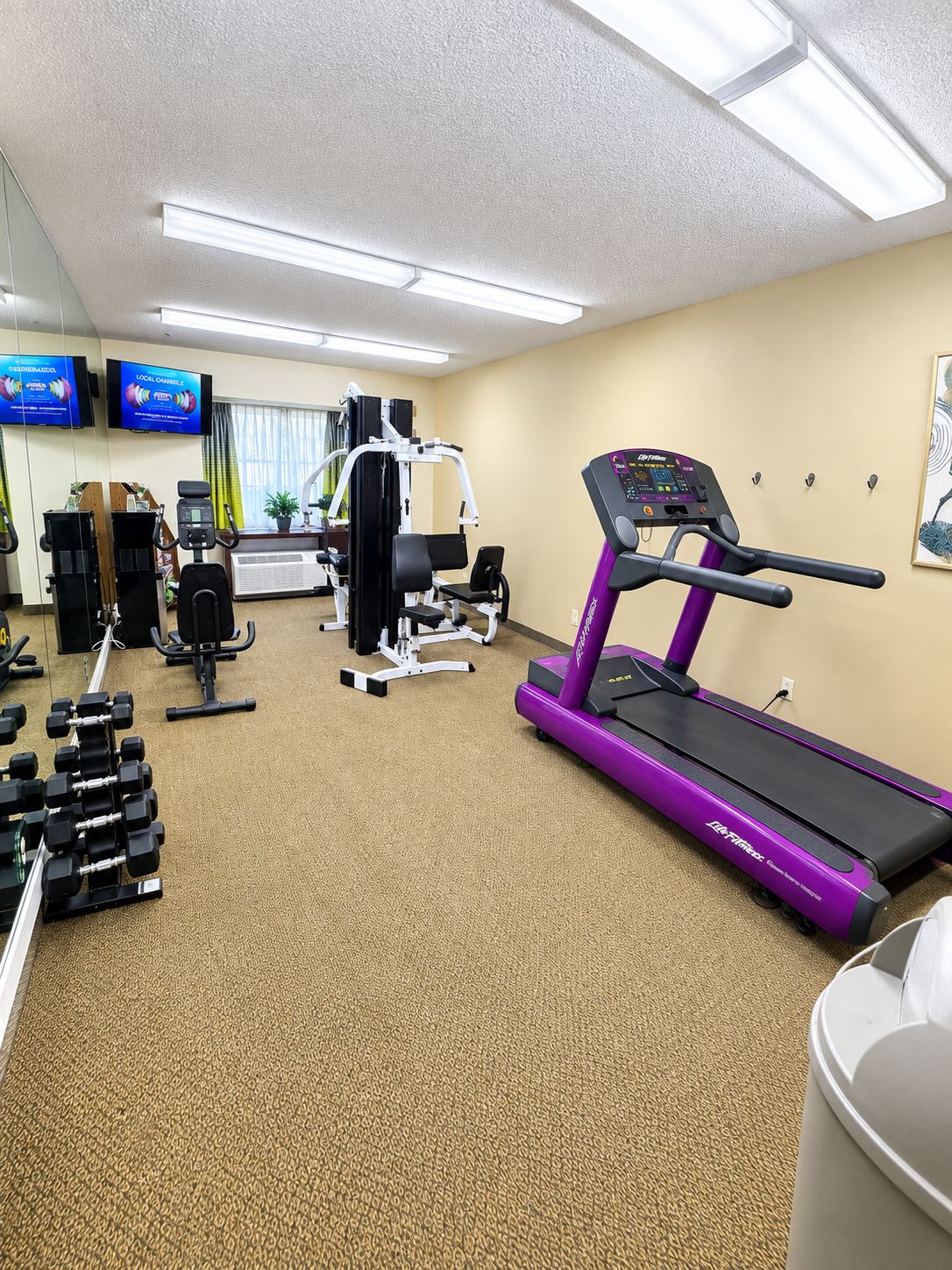 Une salle de sport équipée de matériel d’exercice, d’un tapis de course et d’un téléviseur fixé au mur.