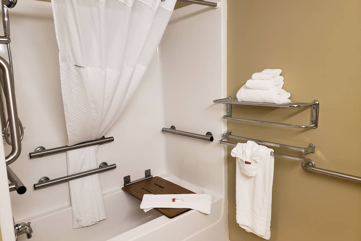 combined shower/bathtub, free toiletries, hair dryer, towels