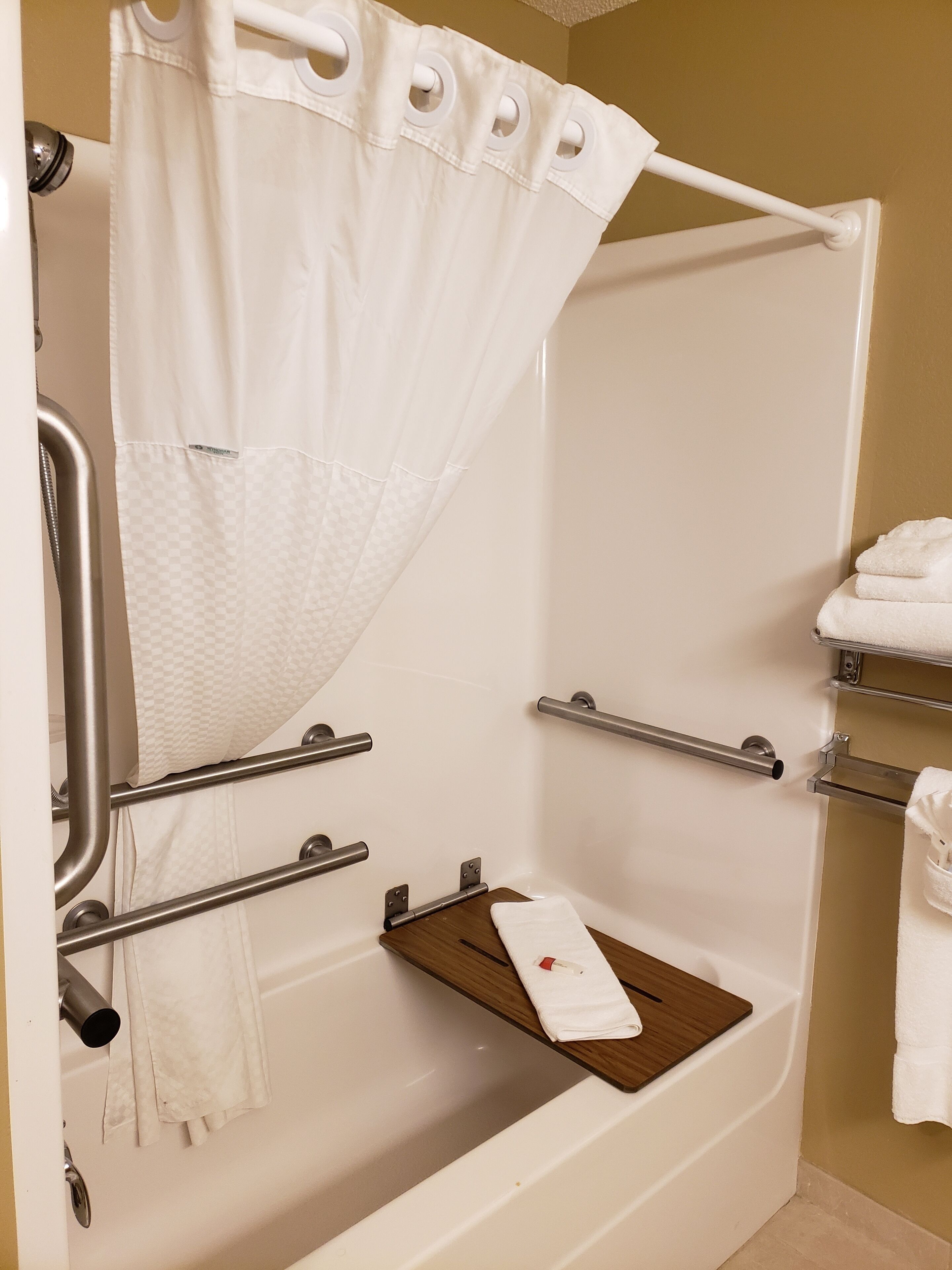 suite, 1 queen bed, accessible, non smoking | bathroom shower
