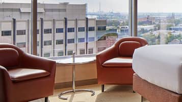 Grand View Queen | View from room