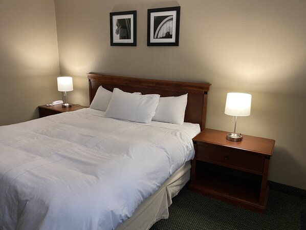 Chambre, 1 très grand lit, non-fumeur, réfrigérateur et four à micro-ondes (1 Star)