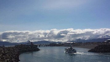 Vista desde la propiedad