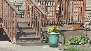A residential house with a wooden staircase, a potted plant with yellow flowers, and a small garden area. - Beluga Lake Lodge (Homer)