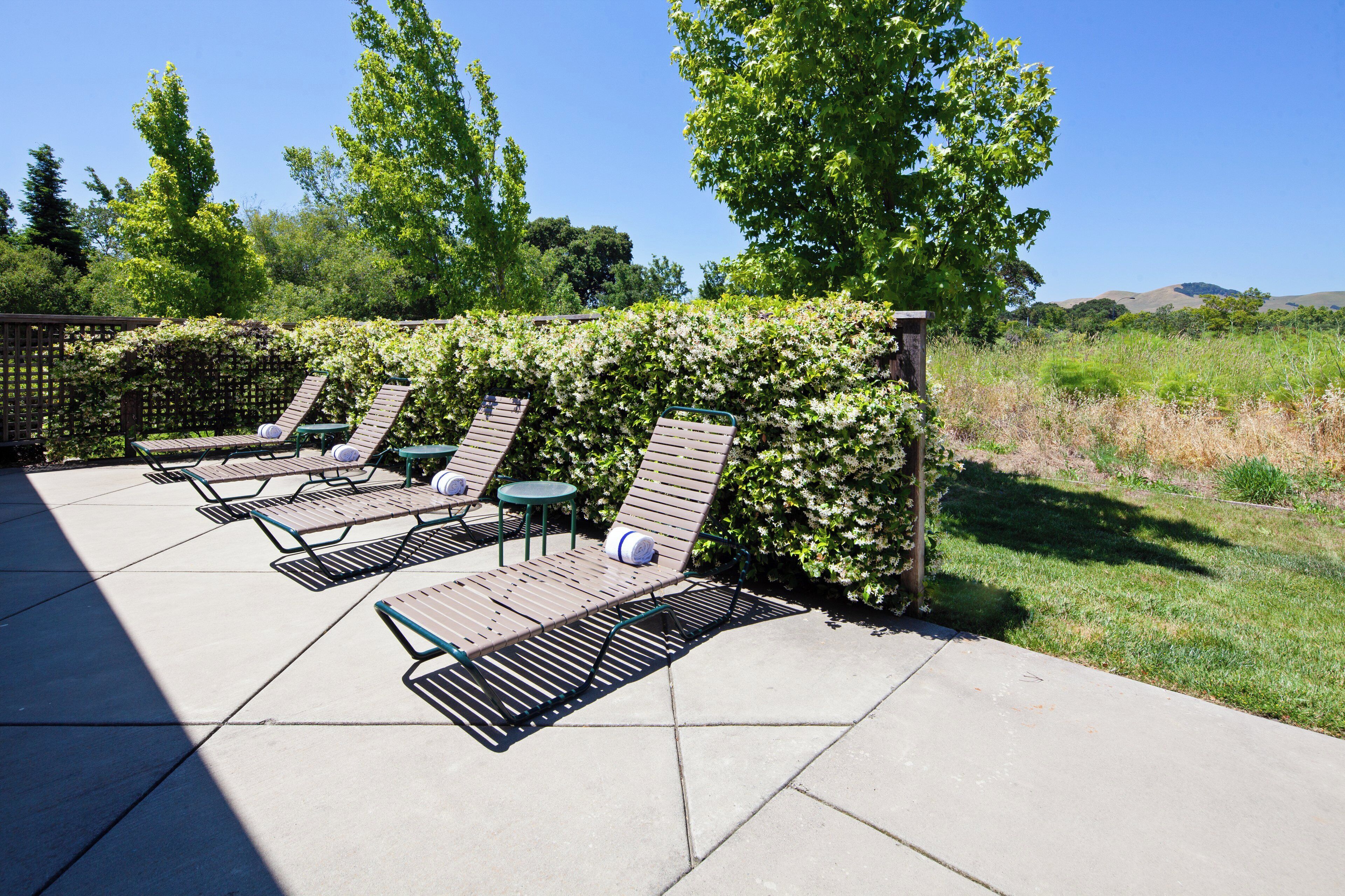 Outdoor lounge chairs and tables arranged on a patio with a hedge and trees in the background.