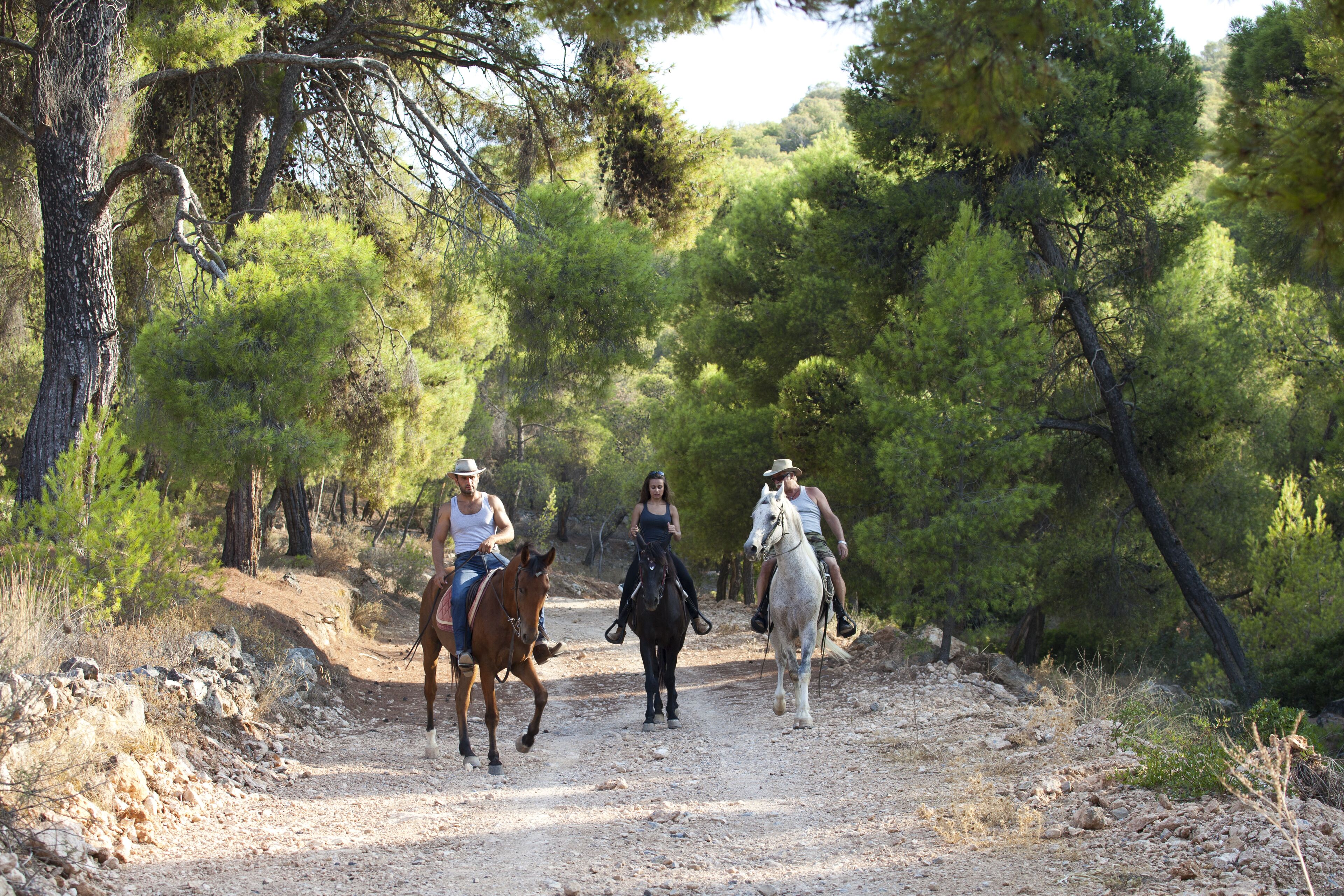 Three people riding horses on a dirt path surrounded by trees.