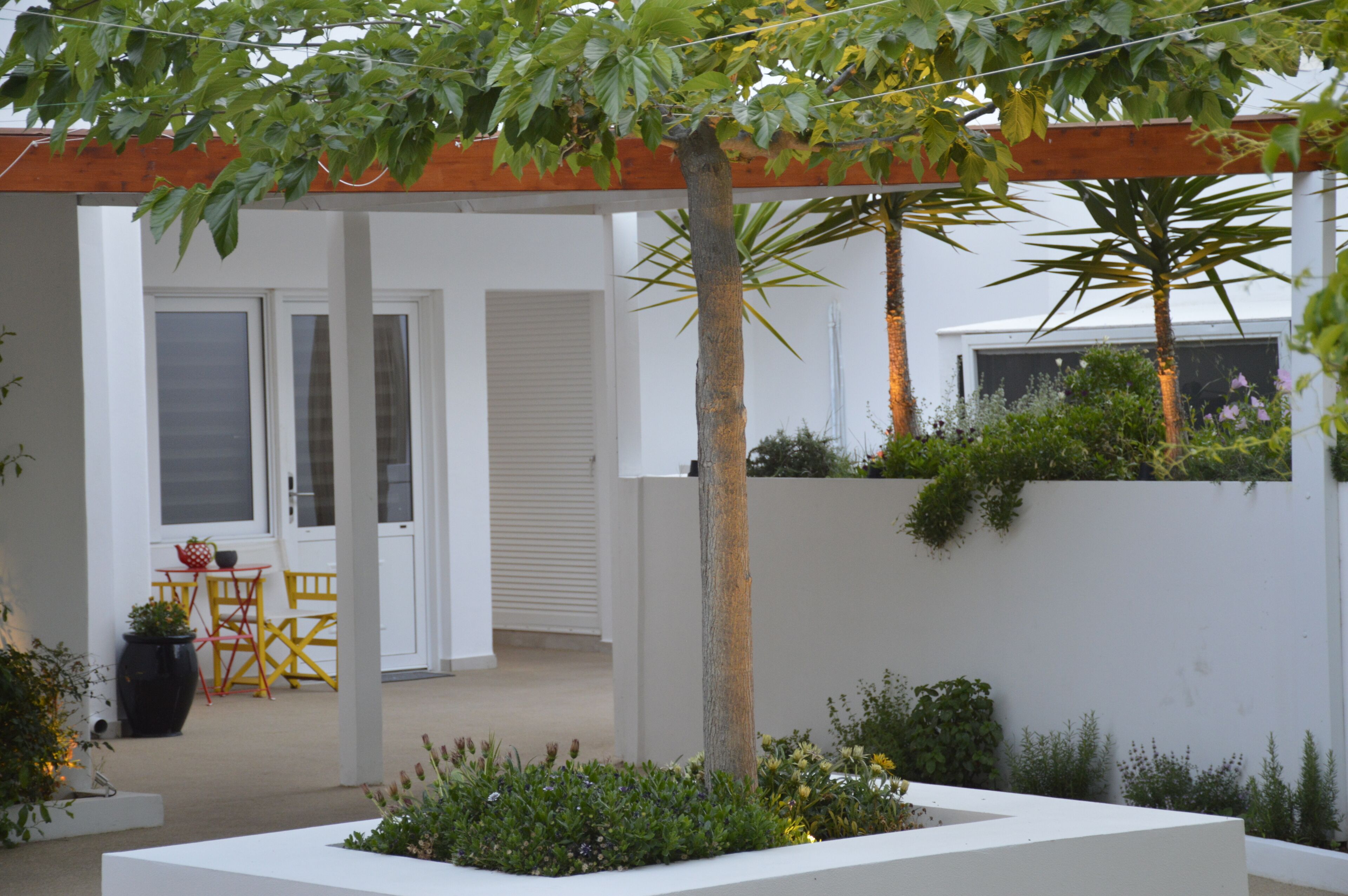 Un patio moderno al aire libre con una pérgola, una zona de estar con sillas y una pared blanca adornada con plantas.