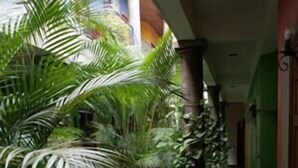 Property grounds - EcoHotel Arbol de Fuego (Antiguo Cuscatlán)