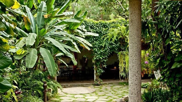 Property grounds - EcoHotel Arbol de Fuego (Antiguo Cuscatlán)