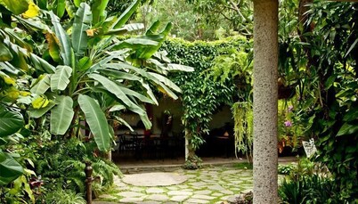 EcoHotel Arbol de Fuego