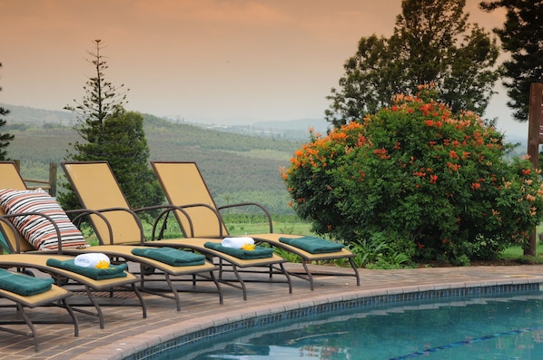 Outdoor pool, pool umbrellas, pool loungers