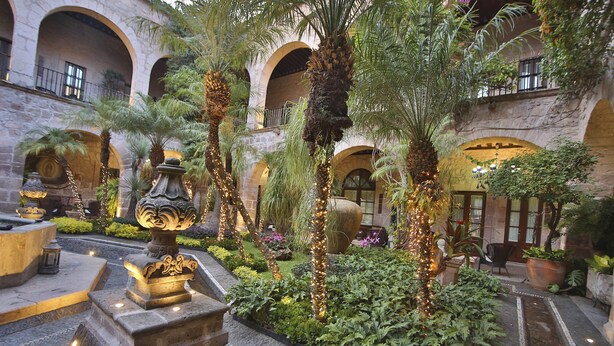 Un patio con escalones de piedra, palmeras y plantas en macetas.