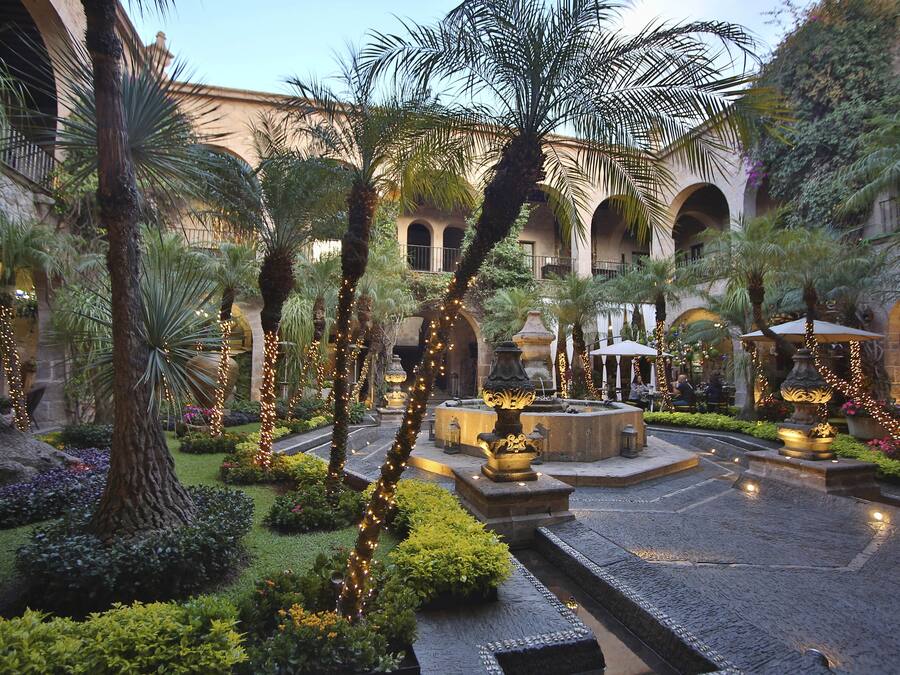Un patio con palmeras, una fuente y senderos de piedra.