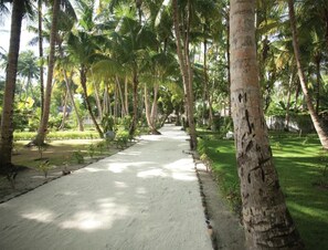 Property grounds - Filitheyo Island Resort (Filitheyo)