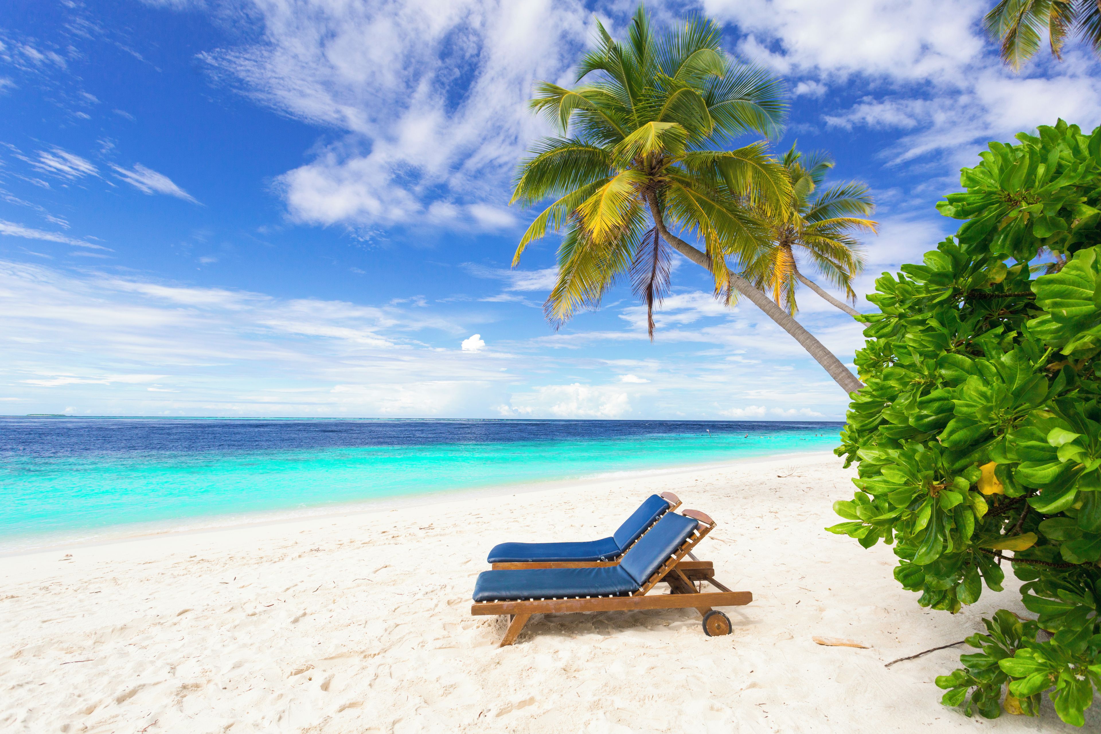 A beach with a palm tree, clear blue sky, and a lounge chair.