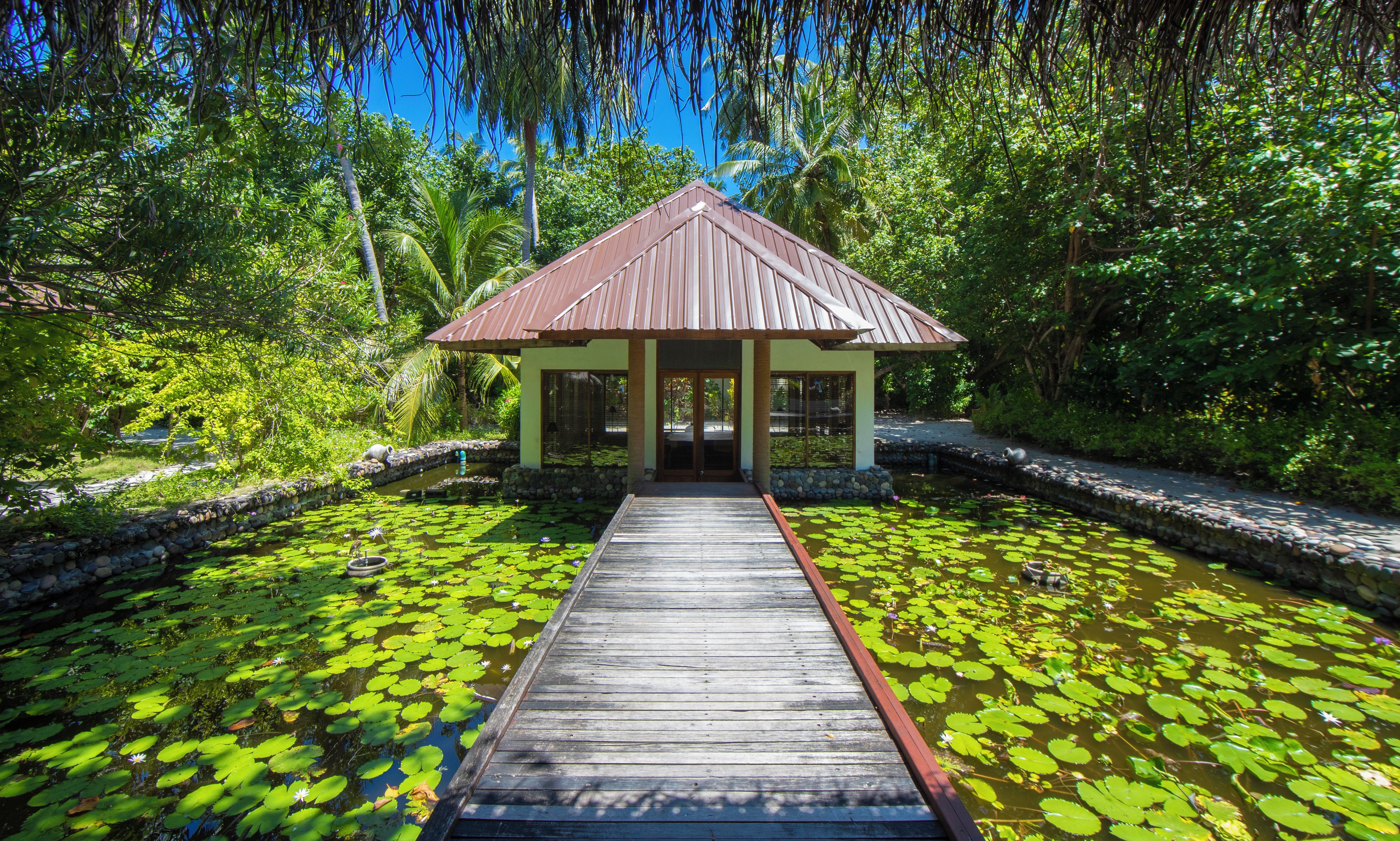 A wooden dock leading to a pavilion with a tiled roof, surrounded by a pond with lily pads and tropical vegetation.