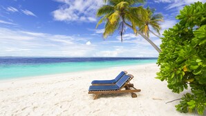 On the beach, scuba diving - Filitheyo Island Resort (Filitheyo)
