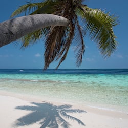 On the beach, scuba diving