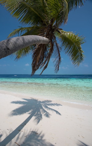 On the beach, scuba diving