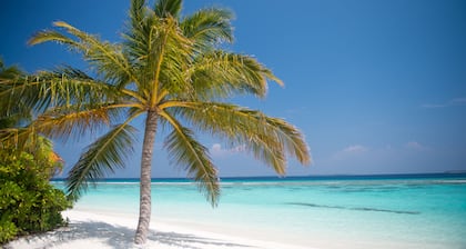 Biyadhoo Island Resort