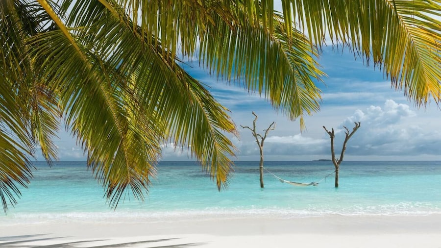 Bandos Maldives - One Way Transfer FREE for stays from 1st May till 30th Sept 2025 for Bookings from 16 Apr 2025
