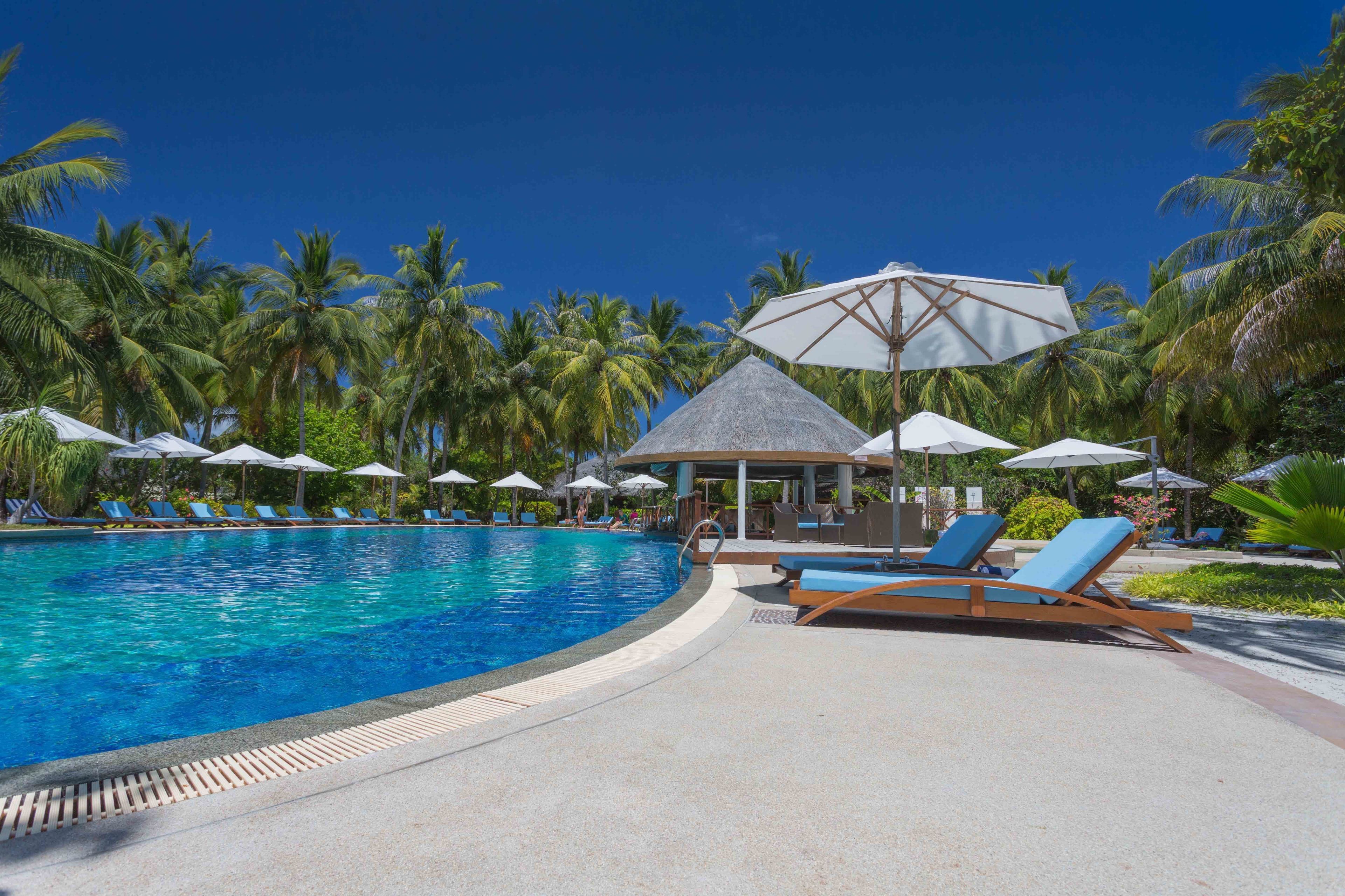 A swimming pool with lounge chairs and umbrellas, surrounded by palm trees.