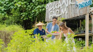 A sign for "Organic Farm Paradise" with a rustic wooden structure and lush greenery in the background.