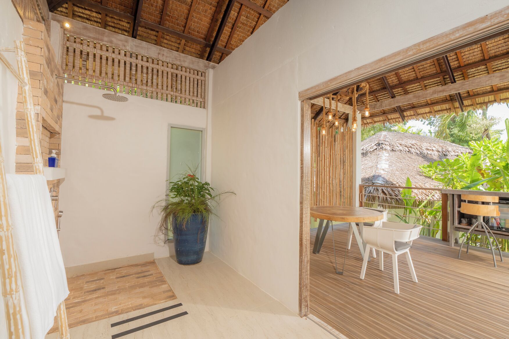 A bathroom with a shower, a sink, and a large potted plant.