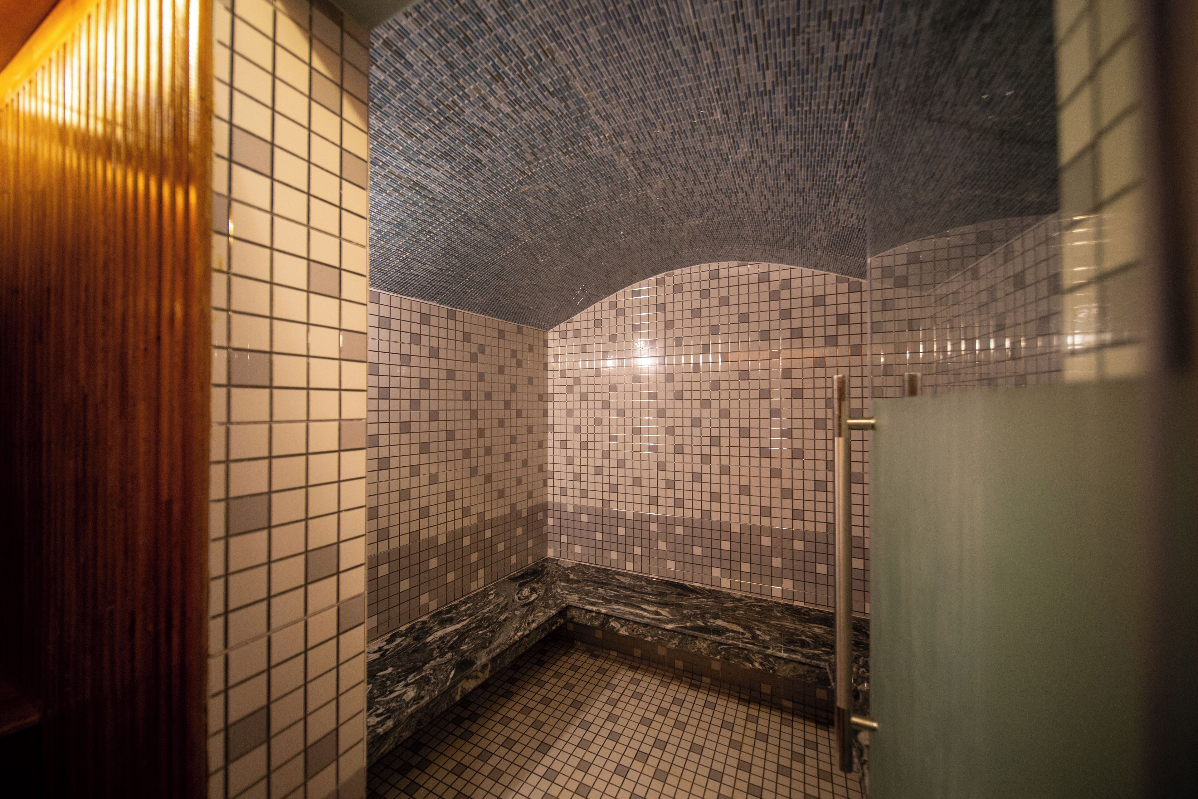 A tiled bathroom with a curved ceiling and a wooden door.
