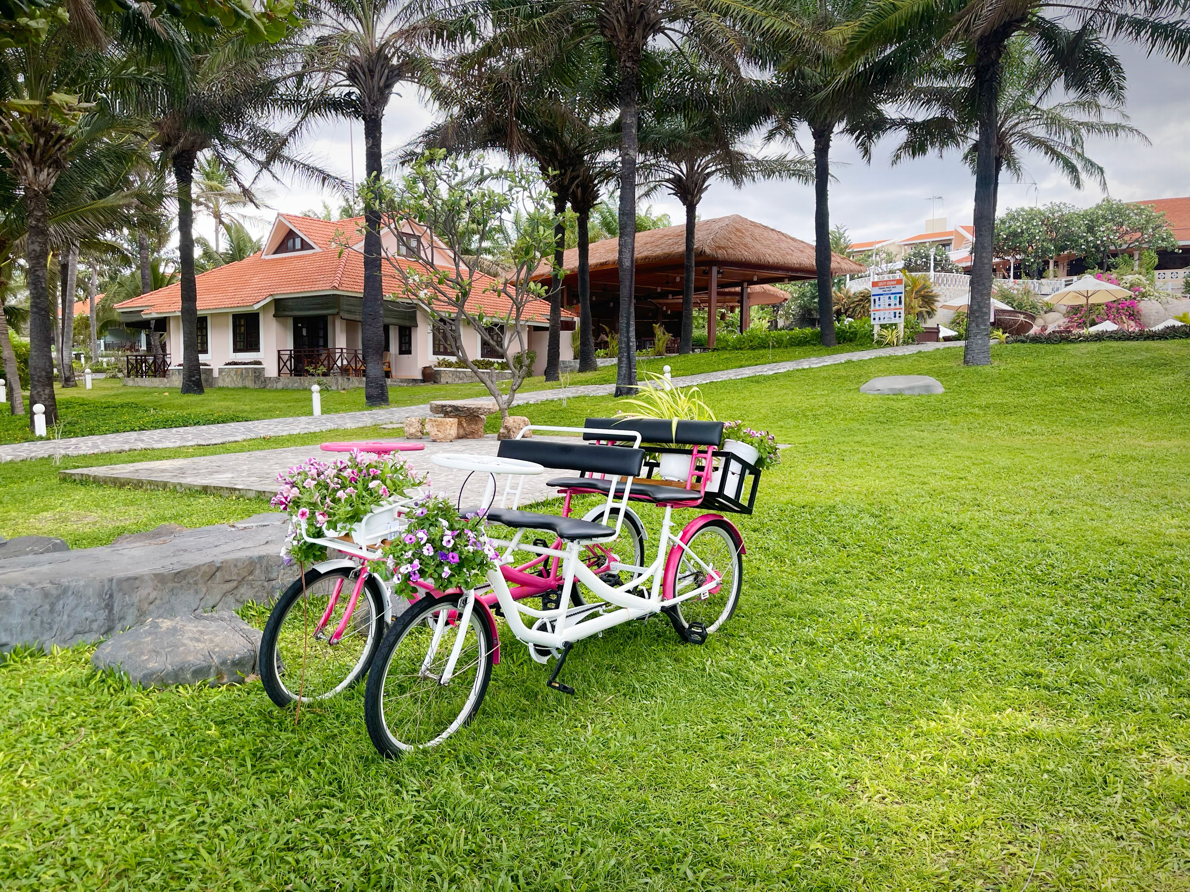 Ein Fahrrad mit Korb und Blumen auf einer Rasenfläche.