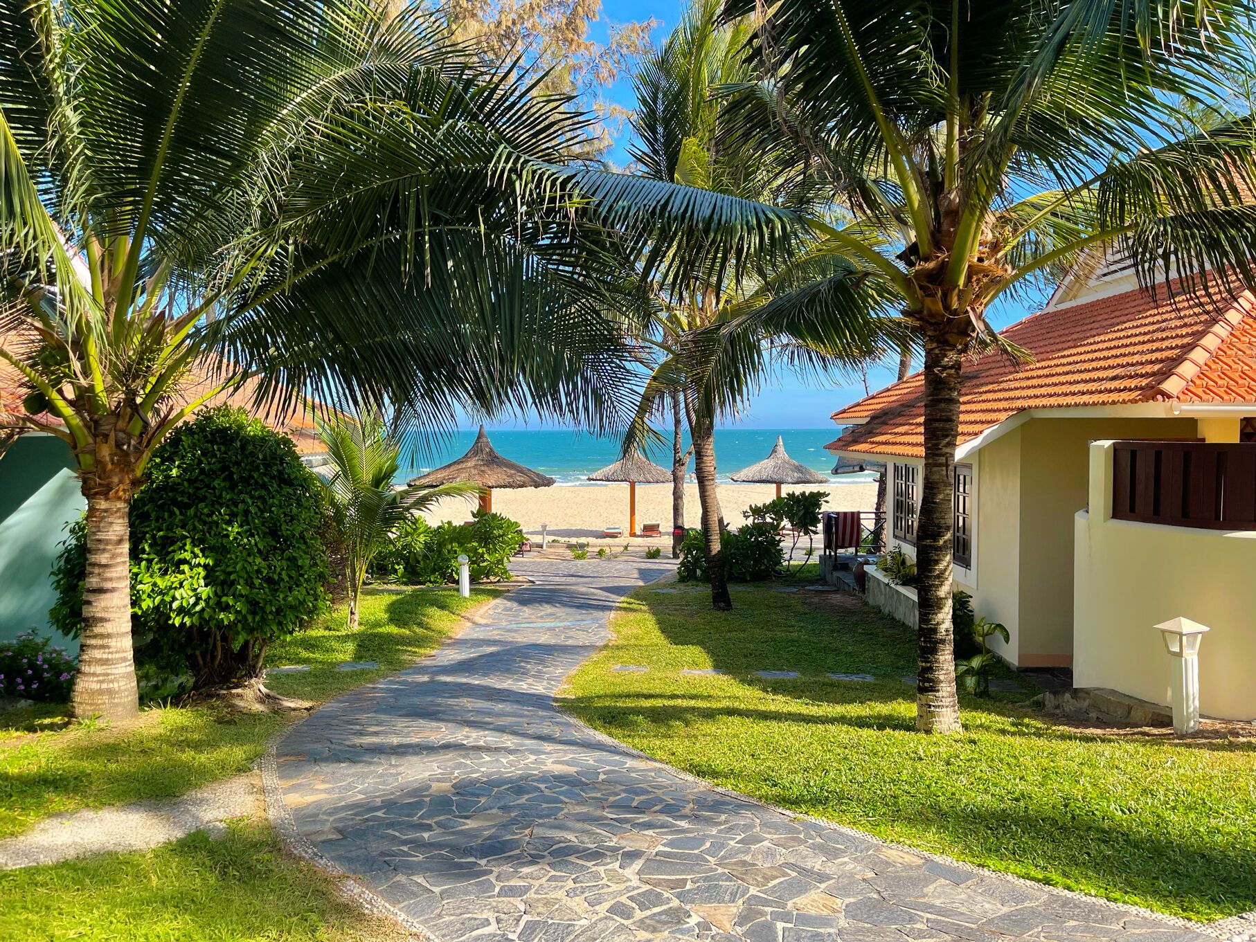 Un sentier qui mène à une plage bordée de palmiers et à une maison avec un toit en tuiles.