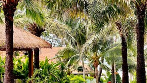A pathway flanked by palm trees and well-maintained hedges, leading to a building with a thatched roof. -  Phu Hai Beach Resort & Spa Phan Thiet (Phu Thuy)
