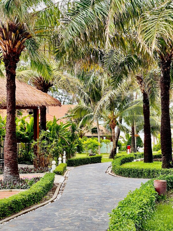 A pathway flanked by palm trees and well-maintained hedges, leading to a building with a thatched roof. -  Phu Hai Beach Resort & Spa Phan Thiet (Phan Thiet)