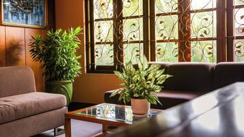 Una sala de estar con un sofá, una mesita de centro y dos plantas en macetas.