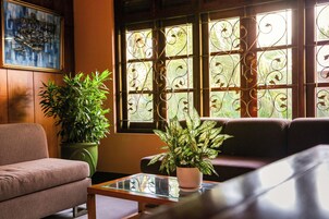 Una sala de estar con un sofá, una mesita de centro y dos plantas en macetas.