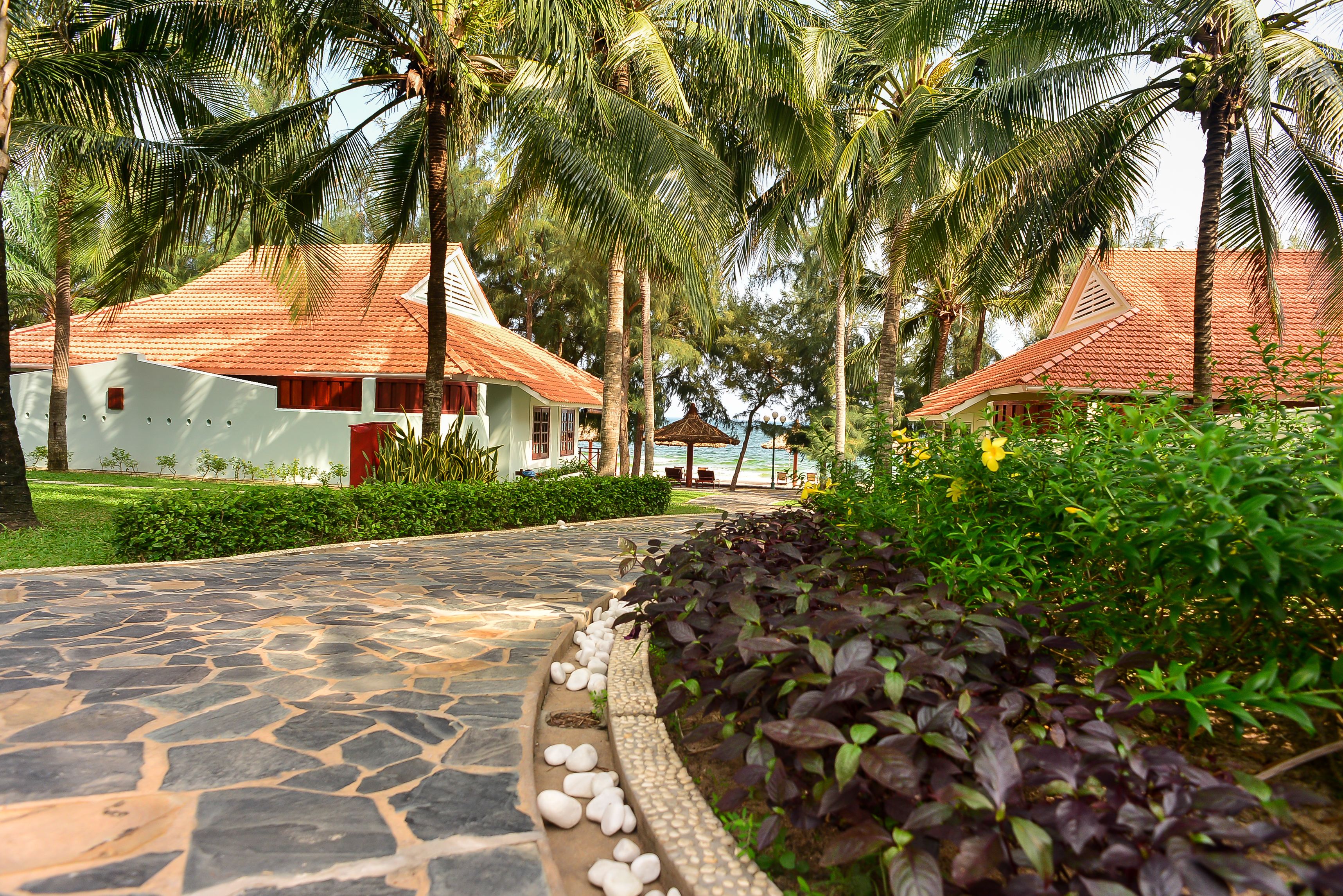 A pathway leading to a building with a red roof, surrounded by palm trees and greenery.