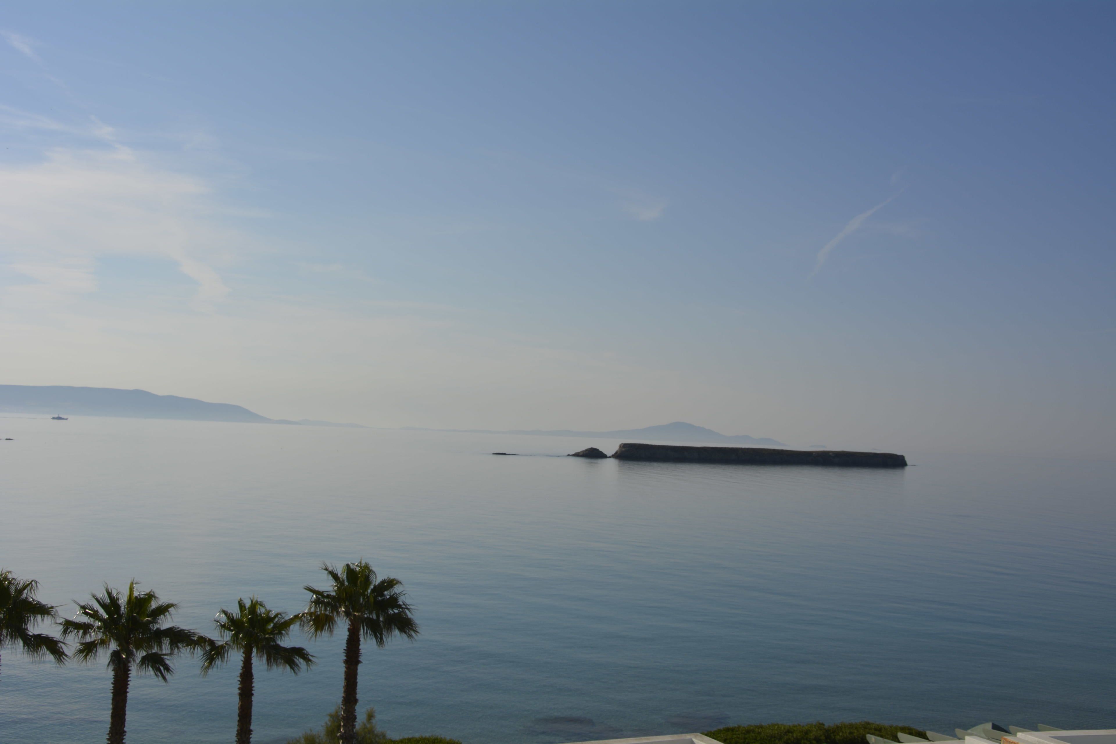 A coastal view with calm waters, palm trees, and distant landforms.