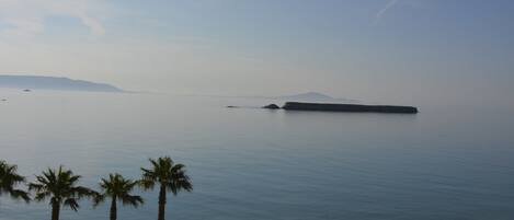 A coastal view with calm waters, palm trees, and distant landforms.