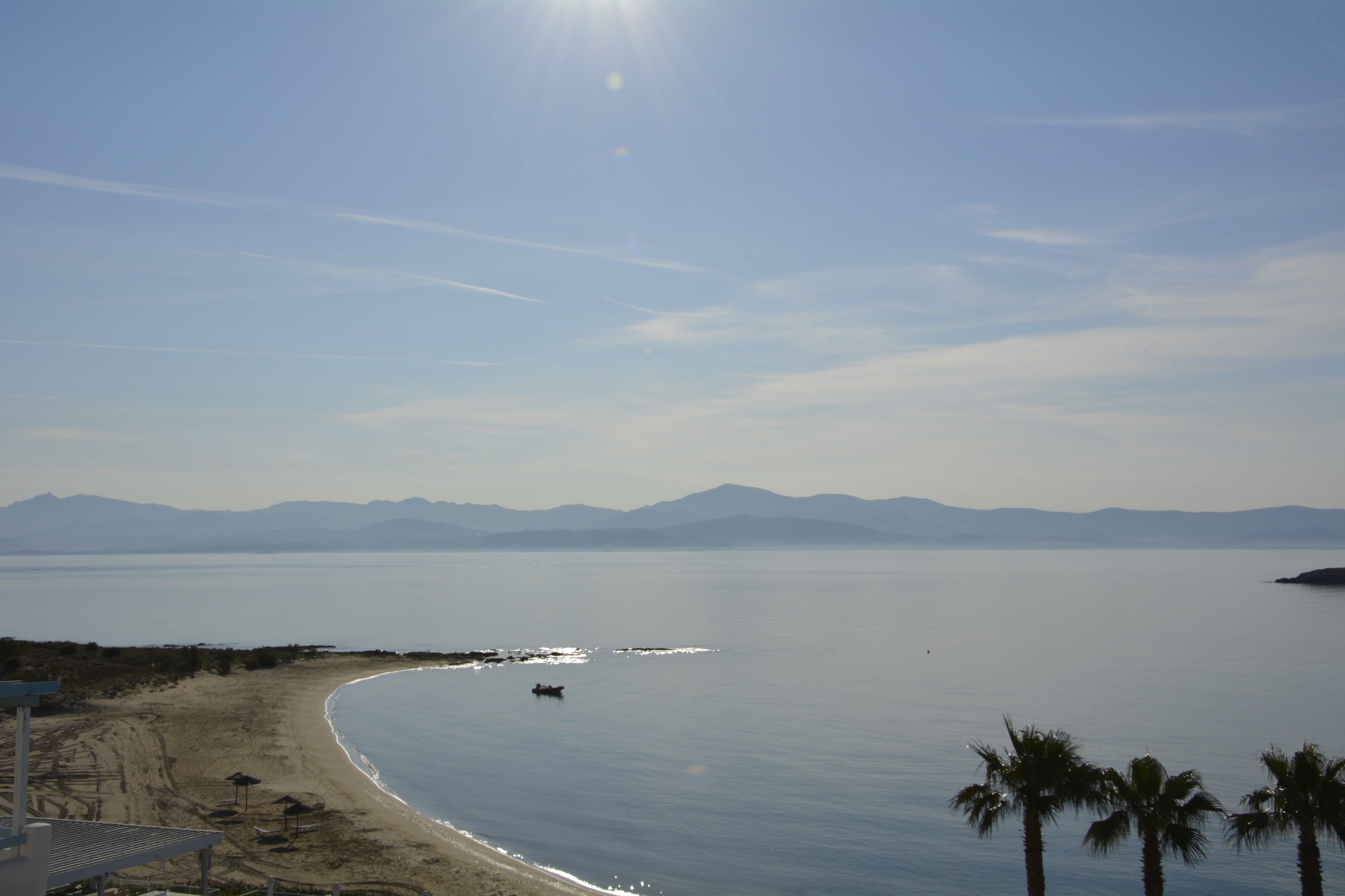 A beach with a boat, palm trees, and mountains in the background.
