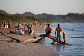 Beach nearby, surfing
