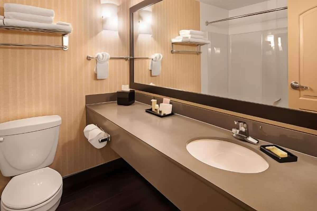 Bathroom | Designer toiletries, hair dryer, towels, soap