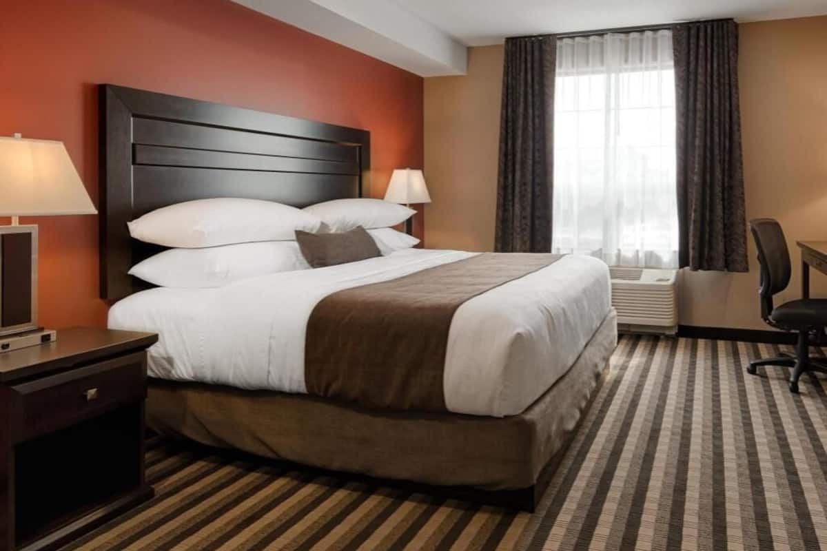 Premium bedding, pillow-top beds, desk, laptop workspace